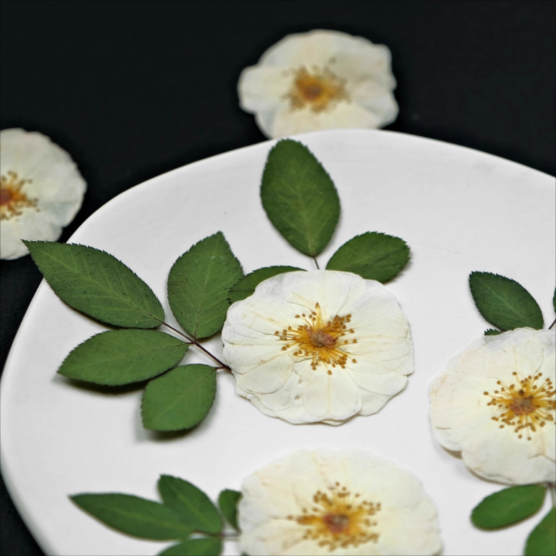 6個、9個、自然の白いバラの押し花 DIYクラフト ドライロ - Resin Craft Ideas のレビューと価格